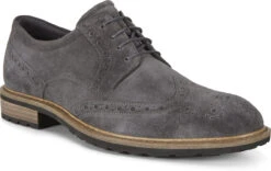 ECCO Men's Vitrus I Wing Tip Tie