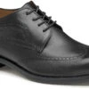 Johnston & Murphy Danridge Wingtip 1 Johnston & Murphy Danridge Wingtip -Aetrex Store johnston murphy mens danridge wingtip black full grain 15 8017 25549.1664812097
