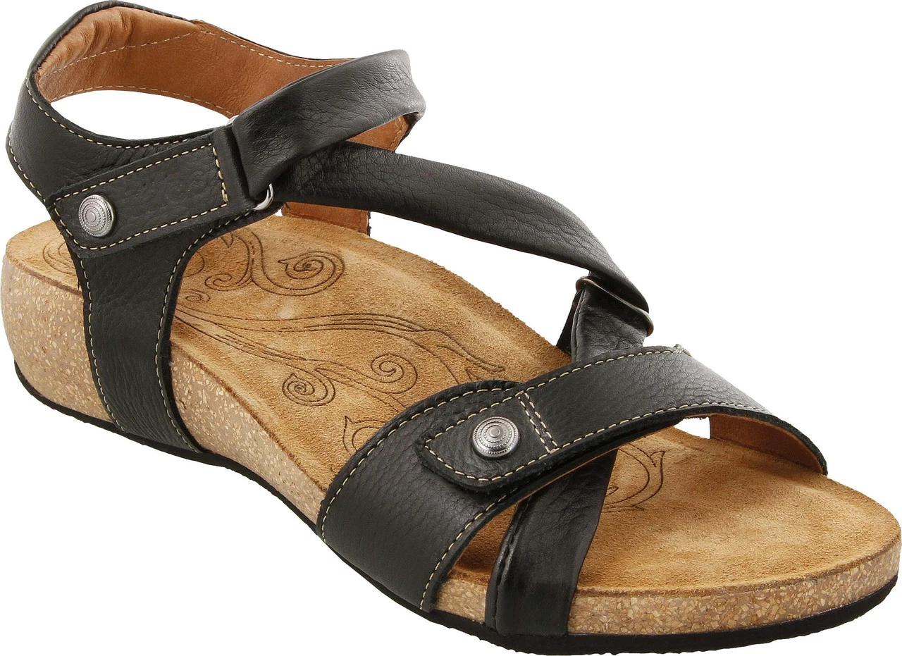 Taos Universe 4 Taos Universe - Image 2